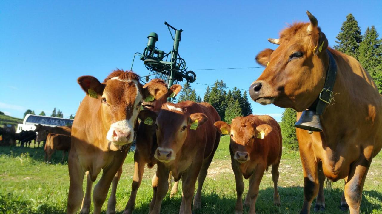 דירות Lajoux Les Chamois מראה חיצוני תמונה